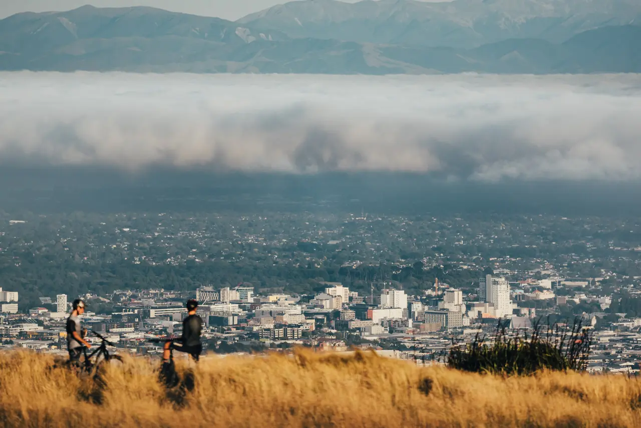 Above the city on the Port Hills